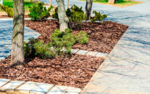 Pine-Bark-Mulch-Gallery-pict.01
