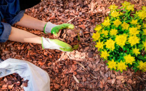 Pine-Bark-Mulch-Gallery-pict.02