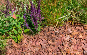 Pine-Bark-Mulch-Gallery-pict.03