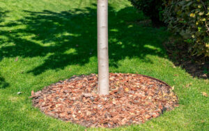 Pine-Bark-Mulch-Gallery-pict.04